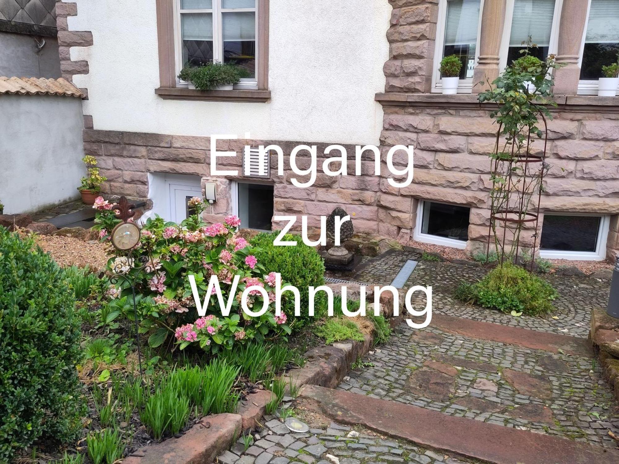 Casa Viva - Separate, Ruhig Gelegene Wohnung Quierschied Eksteriør bilde